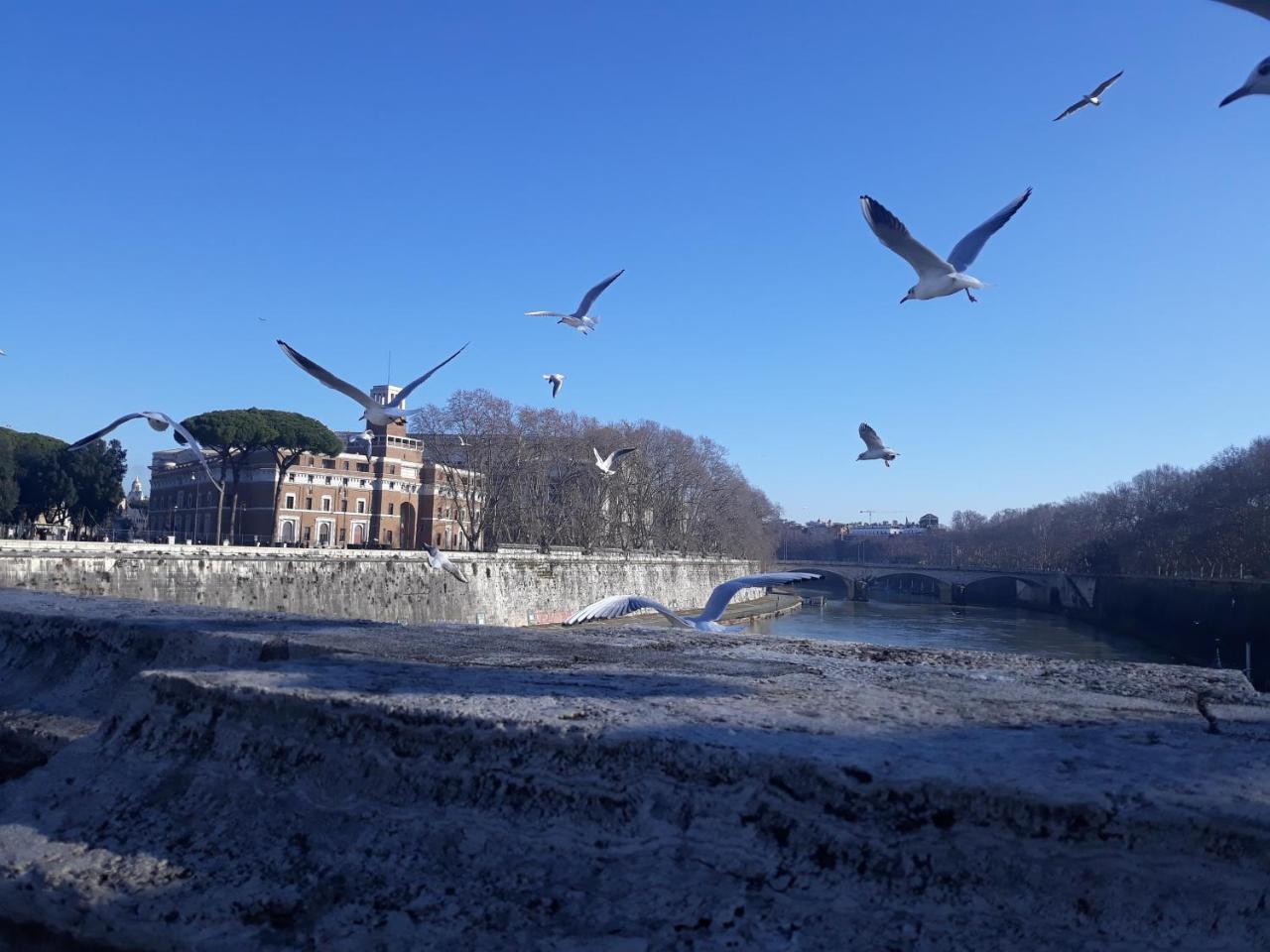Lungotevere Collection Suite Roma Dış mekan fotoğraf